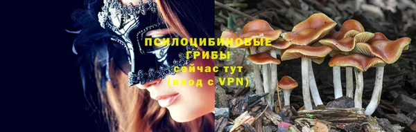прущие крисы Санкт-Петербург