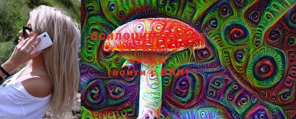 тгк Ессентукская