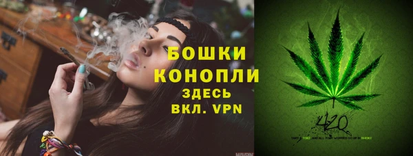 тгк Ессентукская