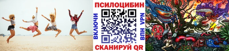 что такое Дорогобуж Псилоцибиновые грибы мухоморы